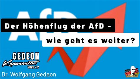 Der Höhenflug der AfD wie geht es weiter YouTube