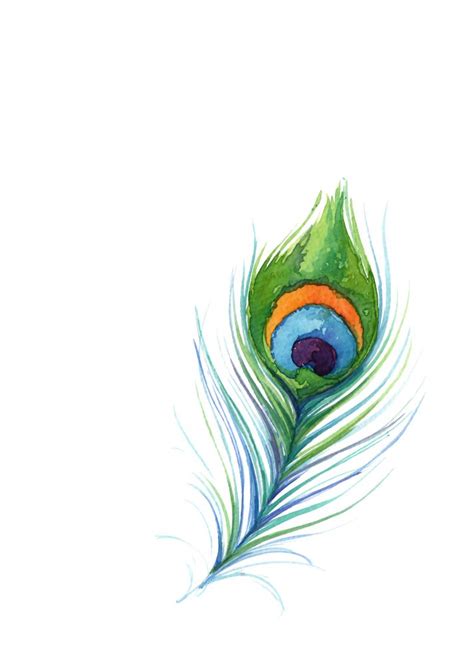 Watercolor Peacock Feather Art Print By Aishwarya Vohra X Small