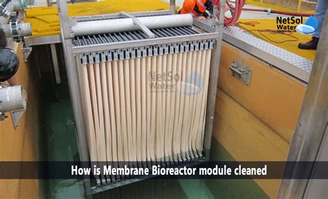 How Is Membrane Bioreactor Module Cleaned