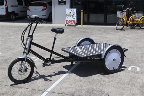 Cargo Max Heavy Duty Trike Bike High Capacity Cargo Transport