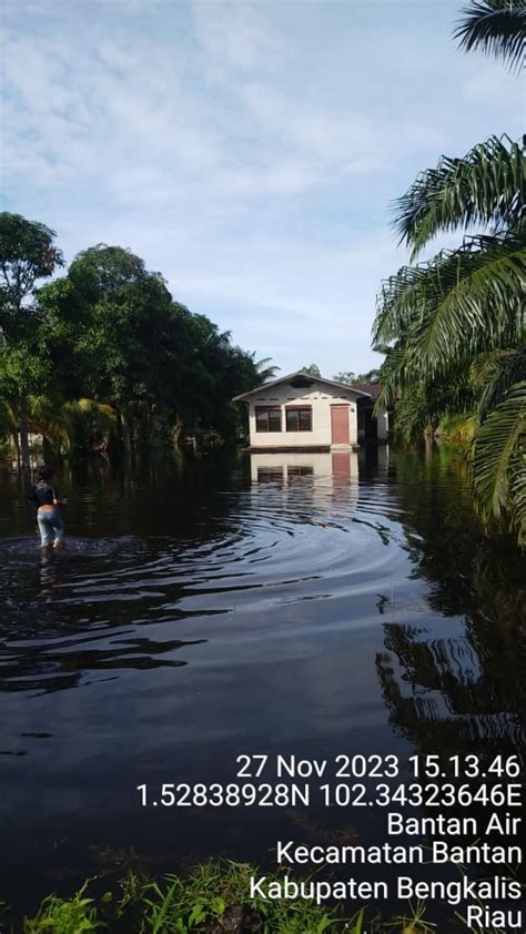 Sekitar 900 Rumah Pada Lima Desa Di Kecamatan Bantan Tergenang Banjir