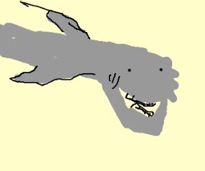 shark braces - Drawception