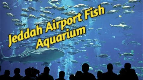 King Abdulaziz Airport Aquarium In Saudi Arabia Fish Aquarium In