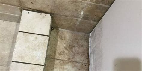 How To Fix Water Damage Behind Shower Tiles Like A Pro ServiceMaster