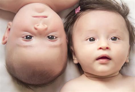 Difference Between Identical And Fraternal Twins In The Womb