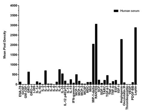 Cytokine Array – Human Cytokine Antibody Array (Membrane, 42 Targets ...