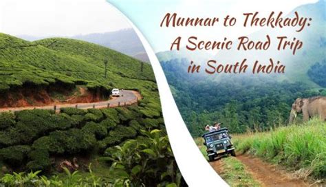 Munnar To Thekkady The Most Spectacular Road Trip In South India