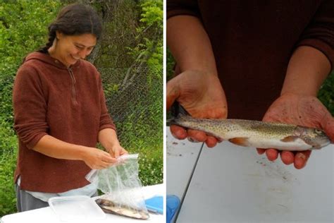 Aquaponic Trout