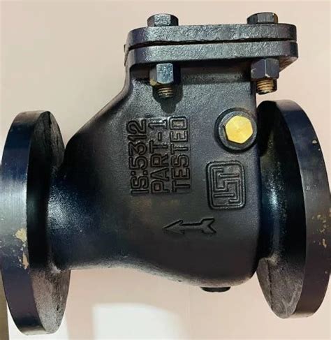 Psi Cast Iron Reflux Valve For Water Valve Size Mm At Rs