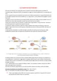 Enzimi Di Restrizioni Bio Docsity