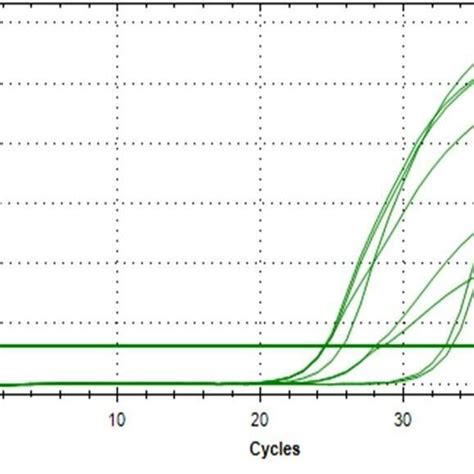 B Mucin Gene Expression In Cultured Intestinal Crypt Cells Amplification Download Scientific