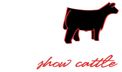 Show Cattle Logo Design Cattle