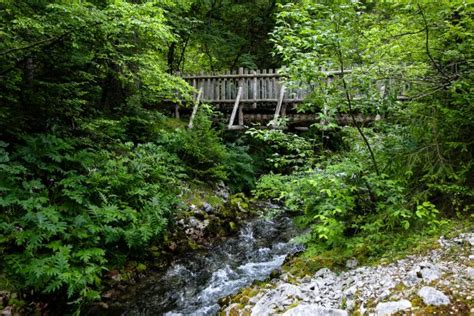 Sentiero Delle Glare Il Trekking Fino Al Lago Di Tovel