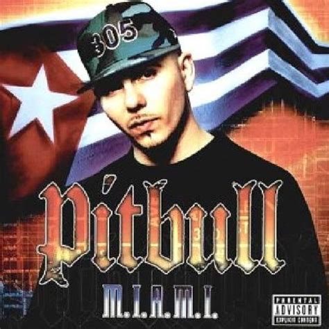 The List of Pitbull Albums in Order of Release - Albums in Order