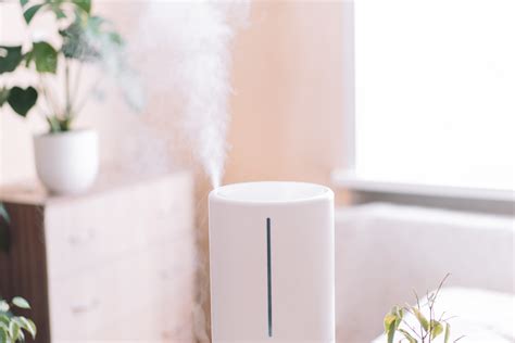 Humidifier Vs Dehumidifier We Explain The Difference Between These