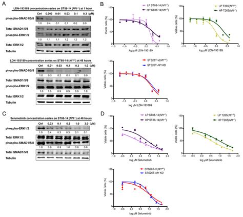 Single Agent Treatment With Ldn Or Selumetinib Affects Cellular