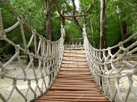 Aventura Cuerda De Madera Selva Puente Colgante Fotograf A De Stock