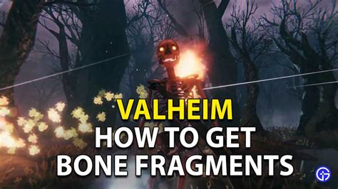 Valheim Cloak Crafting Guide: Where to find Bone Fragments (Location)