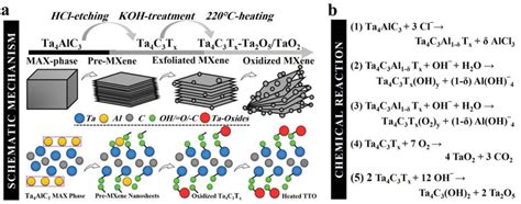 Schematic Model And Stoichiometry Of Tto Hybrid Structure Illustration