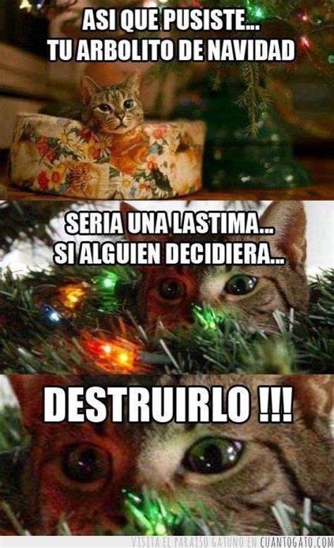 Pin De Xanatae En Gatetes Meme Gato Memes Divertidos Chiste De Gatos