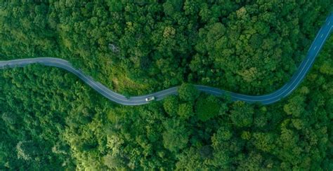 59195 Aerial View Forest Hill Road Images Stock Photos 3d Objects