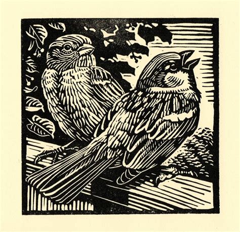 Coastal Birds Linocuts Richard Allen Linocut Prints Woodcut Art