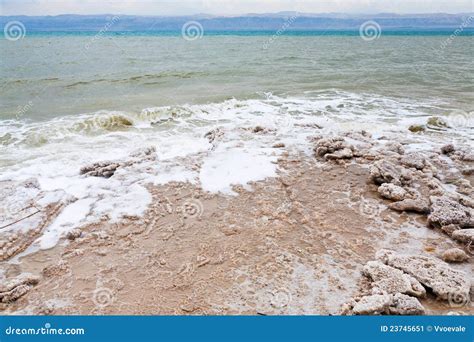 Crystalline Salt On Beach Of Dead Sea Stock Image Image Of Beach