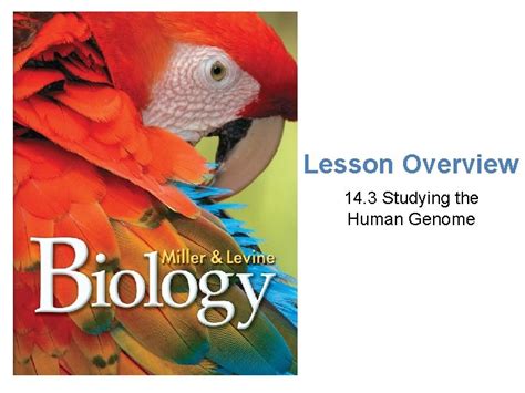 Lesson Overview Studying The Human Genome Lesson Overview