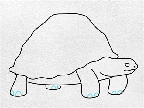 How To Draw A Tortoise Helloartsy