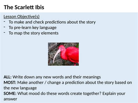 The Scarlet Ibis Short Story Lessons Teaching Resources