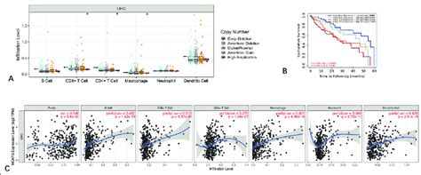 Evaluation Of The Relationship Between Ncapg Expression And Immune Cell