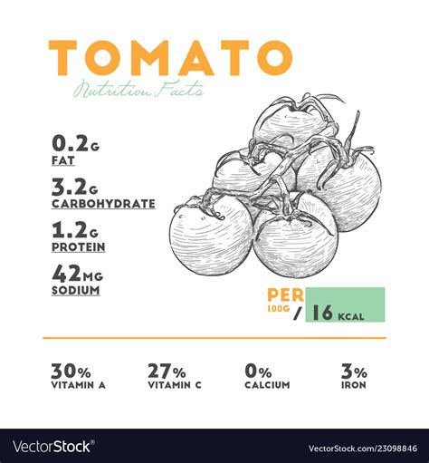 Nutrition Facts Of Raw Tomato Royalty Free Vector Image