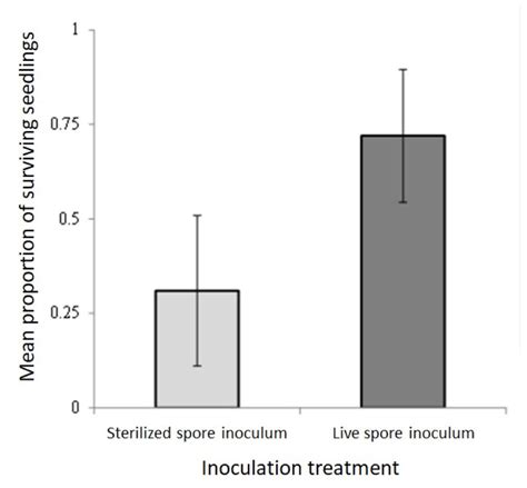 Frontiers Back To Roots The Role Of Ectomycorrhizal Fungi In Boreal