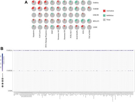 Farsb Serves As A Novel Hypomethylated And Immune Cell Infiltration