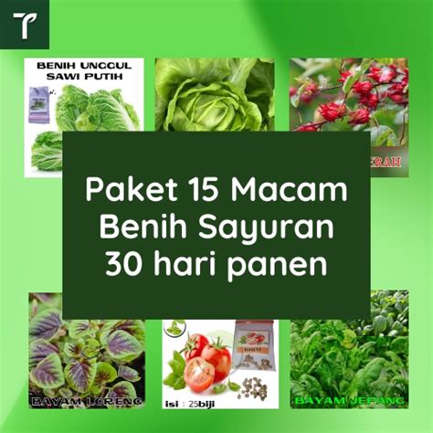 Jual Benih Bibit Sayuran Unggul Paket Macam Tanaman Hari Panen