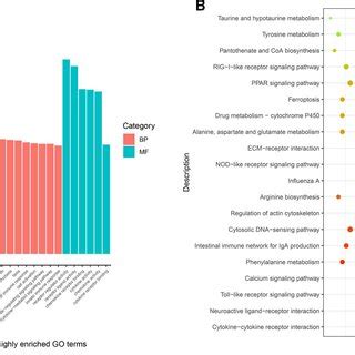 Functional Enrichment Analysis Of Differentially Expressed MRNAs In