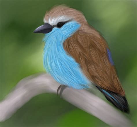 Realistic Bird Drawing by dinosauralicia on DeviantArt