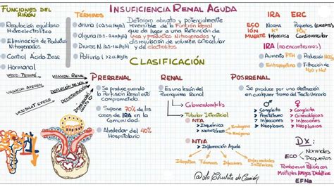 Res Menes De Insuficiencia Renal Descarga Apuntes De Insuficiencia Renal