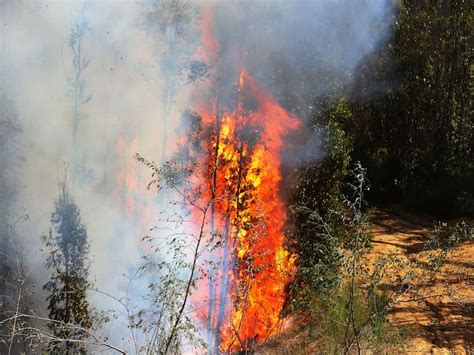 Senapred Declara Alerta Roja Para Valparaíso Por Nuevo Incendio