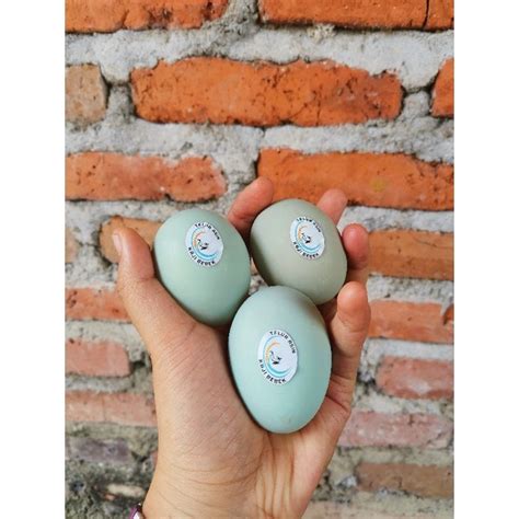 Jual Telur Asin Matang Grade B Masir Butir Fresh Peternakan Sendiri