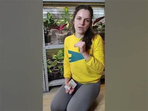 Сроки посева семян. - YouTube