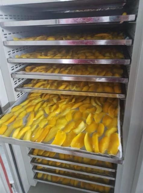 Dried Mango Dried Fruits Vietnam Vietnam Soft Dried Mango Price