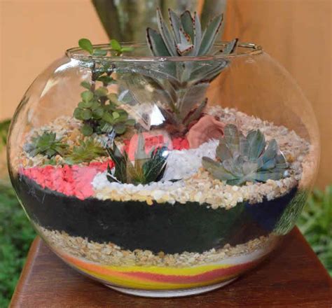 15+ Cool And Creative Terrarium Ideas