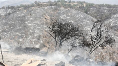 Más De 4 Mil Hectáreas De Bosque Nativo Fueron Consumidas Por Los