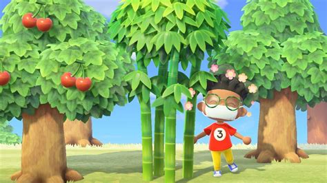 Animal Crossing How To Get Bamboo Gameup24