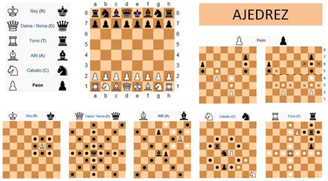 Reglas Y Fundamentos Maestria En El Ajedrez