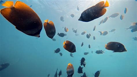 Measure What You Treasure Advancing Natural Capital Accounting In The