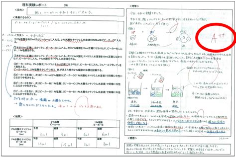 【小・中学生向け】理科・実験レポートの書き方 あざみ野 たまプラ 新百合ヶ丘 の 個別指導 学習塾 予備校 Mystep公式ブログ