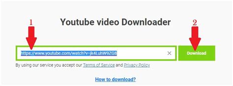 YouTube Video Download - Our Net Helps