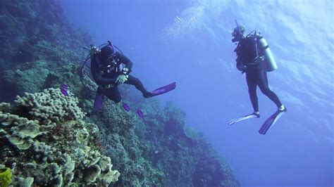 Our Cozumel Dive With Dressel Divers May 11th 2017 YouTube